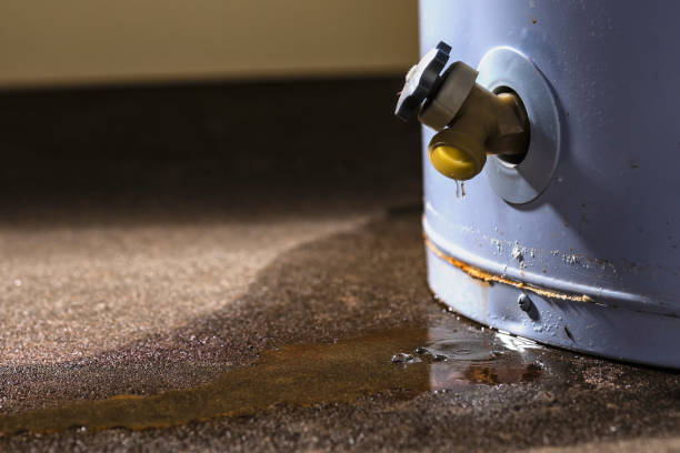 Best Mold removal after water damage  in Awendaw, SC