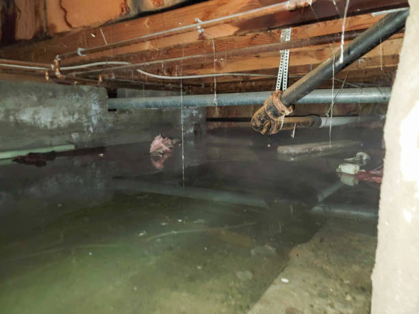 Best Fire Damage Restoration  in Awendaw, SC