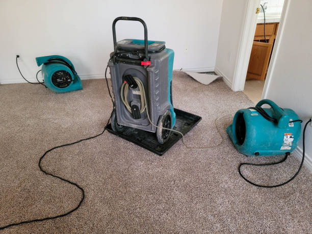 Best Emergency water damage restoration  in Awendaw, SC