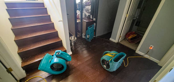 Best Basement water damage restoration  in Awendaw, SC