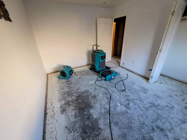 Best Mold removal after water damage  in Awendaw, SC