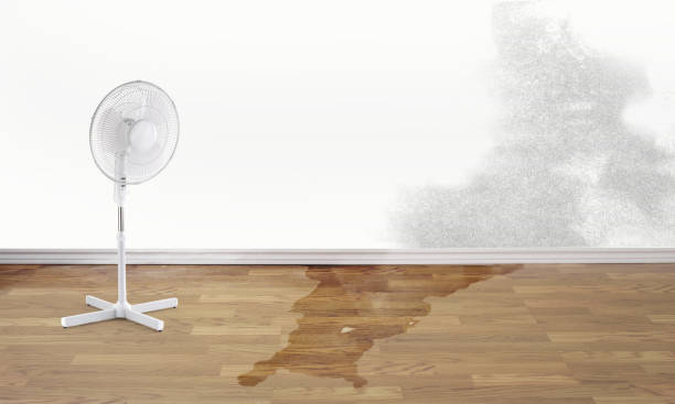 Water damage restoration experts in SC