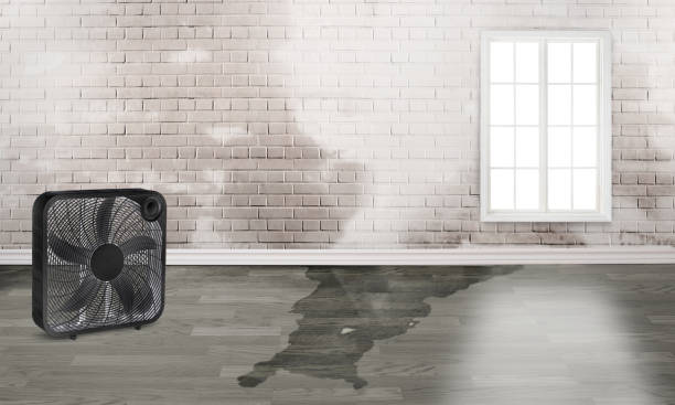 Best 24/7 water damage repair  in Awendaw, SC