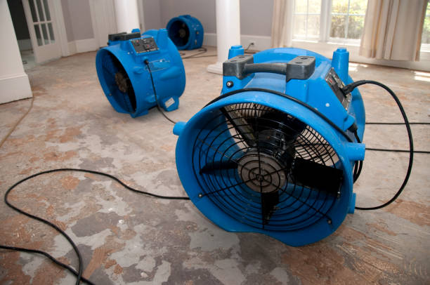 Best Water damage repair service  in Awendaw, SC