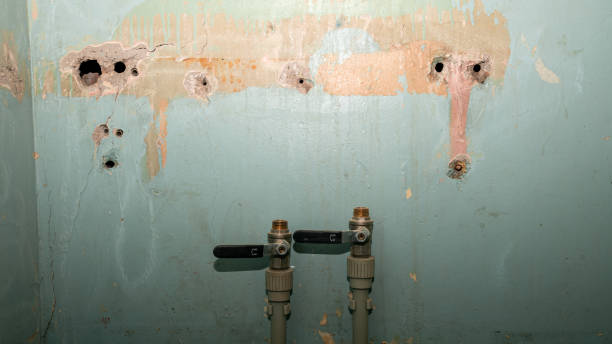 Best Sewage cleanup and water damage restoration  in Awendaw, SC