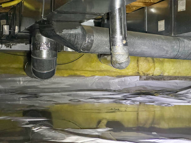 Best Ceiling water damage repair  in Awendaw, SC