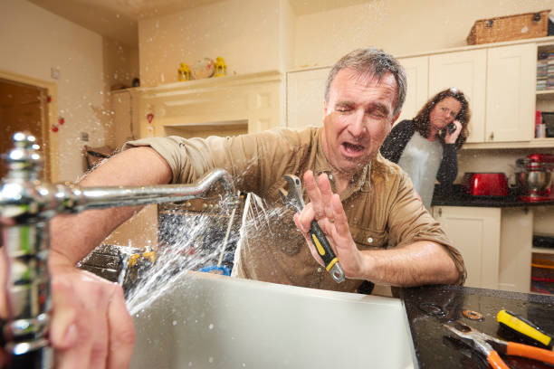 Best Flooded house restoration  in Awendaw, SC